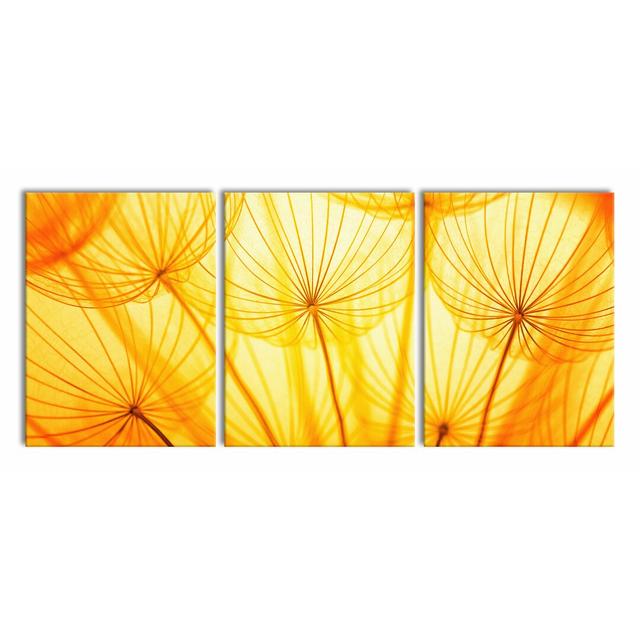 Dandelions in Orange Light 3-Piece Photograph Set on Canvas East Urban Home Size: 80cm H x 180cm W on Productcaster.