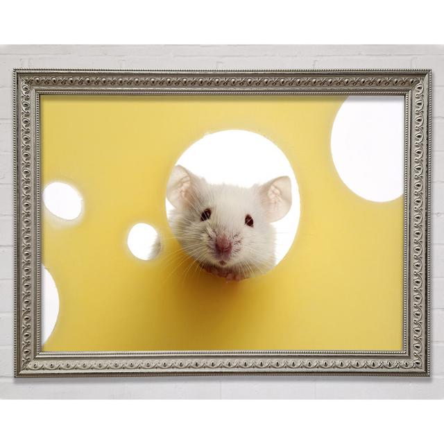 Cheesy Mouse - Single Picture Frame Art Prints Ebern Designs Size: 59.7cm H x 84.1cm W x 3cm D on Productcaster.