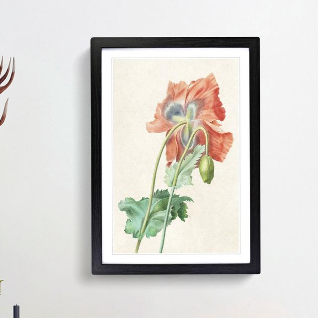 Poppy Flower by Pierre-Joseph Redoute - Picture Frame Painting Print East Urban Home Size: 36cm H x 27cm W x 2cm D, Frame Option: Black Framed on Productcaster.