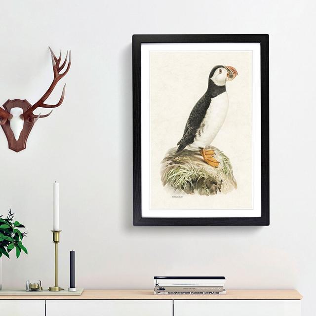 Atlantic Puffin by Von Wright - Picture Frame Painting Print on Paper East Urban Home Frame Option: Black Framed, Size: 63cm H x 45cm W x 2cm D on Productcaster.