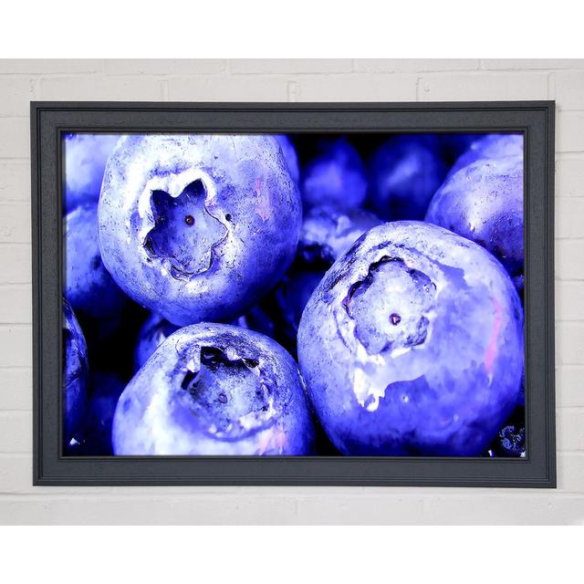 Gerahmtes Wandbild Blueberry Ebern Designs Größe: 84,1 cm H x 118,9 cm B x 1,5 cm T, Format: Poster mit grauem Rahmen on Productcaster.