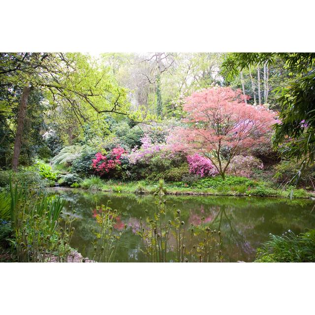 Blooming Trees In Nature by Tilo - Wrapped Canvas Print Alpen Home Size: 81cm H x 122cm W on Productcaster.