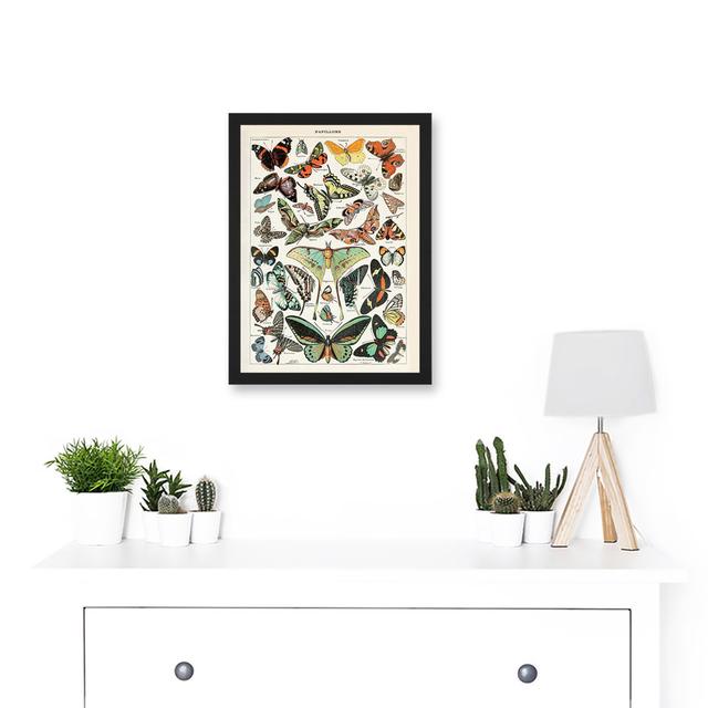 Millot Encyclopedia Vintage Variety Butterflies Moths Nature Artwork Framed Wall Art Print A4 Happy Larry on Productcaster.