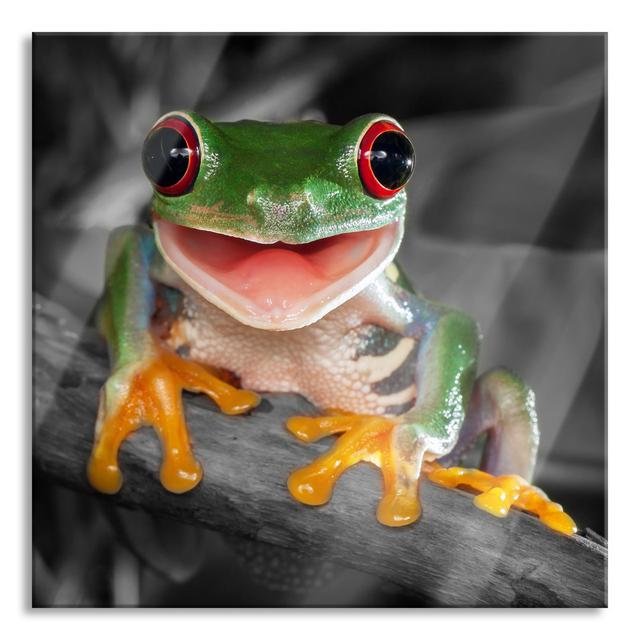 Laughing Frog With Red Eyes On A Branch - No Frame Print on Glass Ebern Designs Size: 70cm H x 70cm W x 0.4cm D on Productcaster.