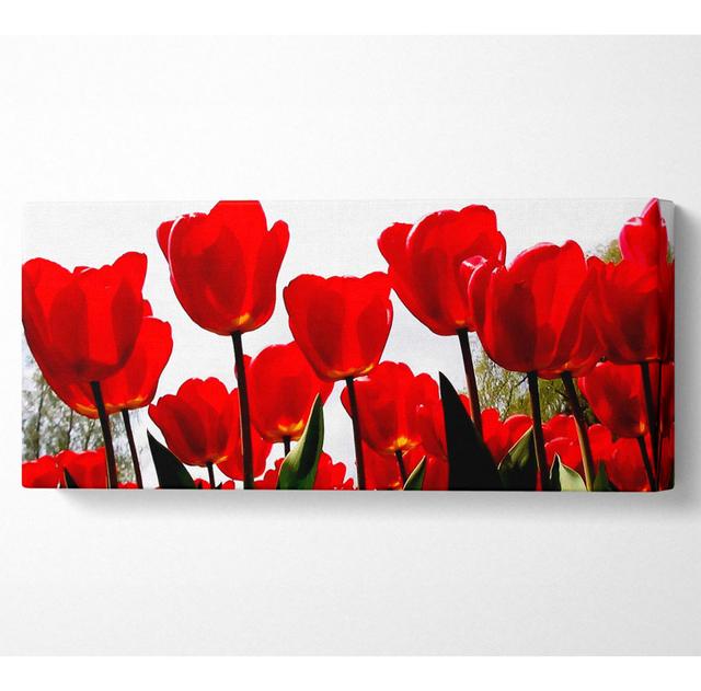 Red Tulip Skies - Print Rosalind Wheeler Size: 40.6cm H x 101.6cm W on Productcaster.