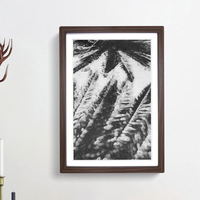 Palm Tree Shadows - Picture Frame Painting Print East Urban Home Frame Option: Walnut Framed, Size: 48cm H x 36cm W x 2cm D on Productcaster.