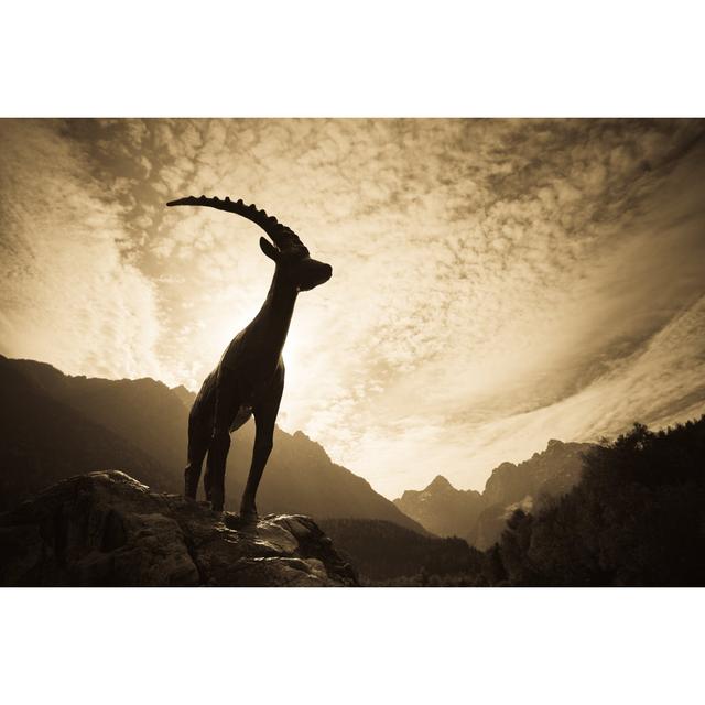 Mountain Ibex by MistikaS - No Frame Print on Canvas Alpen Home Size: 81cm H x 122cm W on Productcaster.