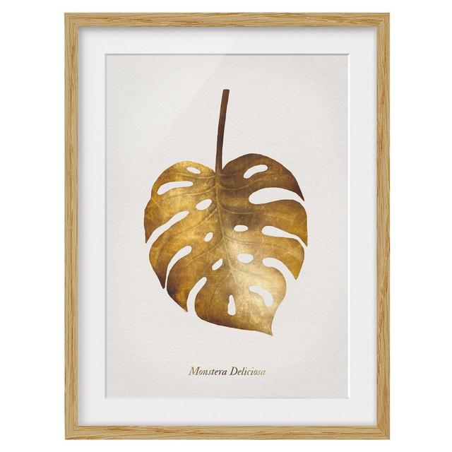 Gold - Monstera - Picture Frame Graphic Art Bay Isle Home Size: 100cm H x 70cm W x 2cm D, Frame Option: Brown Framed on Productcaster.