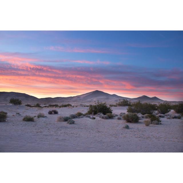 Desert Sand by Heavily Meditated Life - Wrapped Canvas Photograph Alpen Home Size: 61cm H x 91cm W on Productcaster.