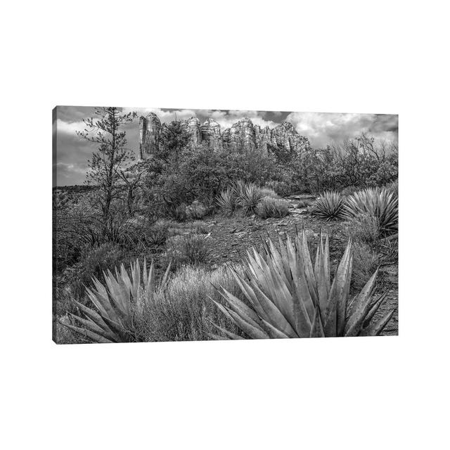 Agave, Coffee Pot Rock Near Sedona, Arizona - Wrapped Canvas Print Alpen Home Size: 45.72cm H x 66.04cm W x 1.91cm D on Productcaster.