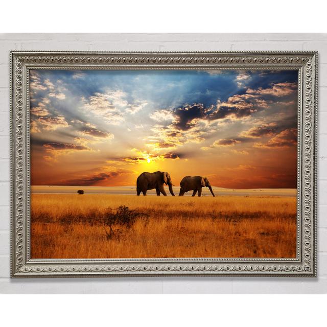 Elephant Duo Sunset Framed Print Latitude Run Size: 100cm H x 141.4cm W x 3cm D, Format: Silver Framed Paper on Productcaster.