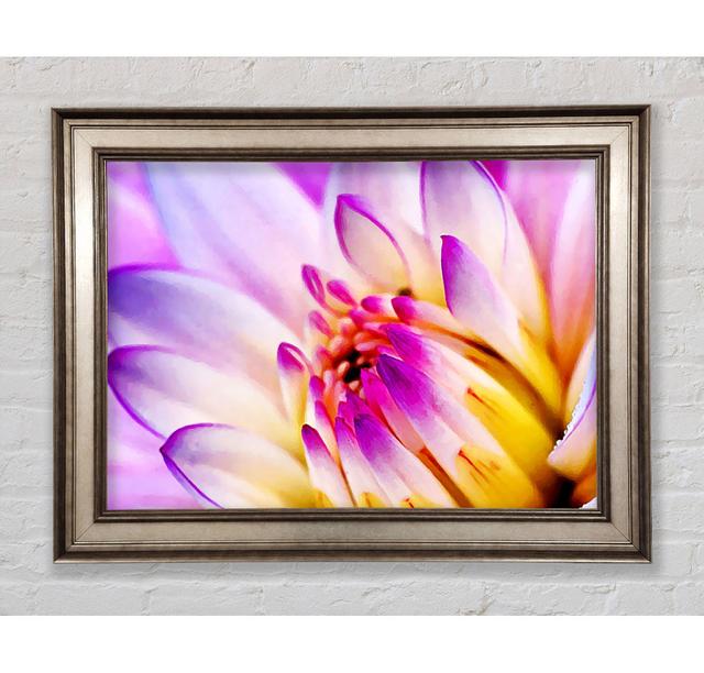 Single Picture Frame Art Prints Bright Star Size: 29.7cm H x 42cm W on Productcaster.