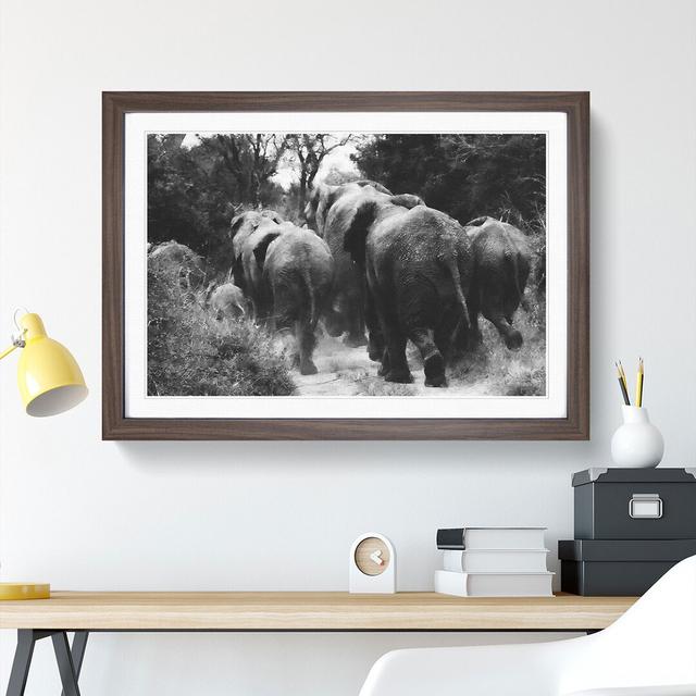 Herd of Elephants - Picture Frame Graphic Art East Urban Home Size: 36cm H x 48cm W x 2cm D, Frame Option: Walnut Framed on Productcaster.