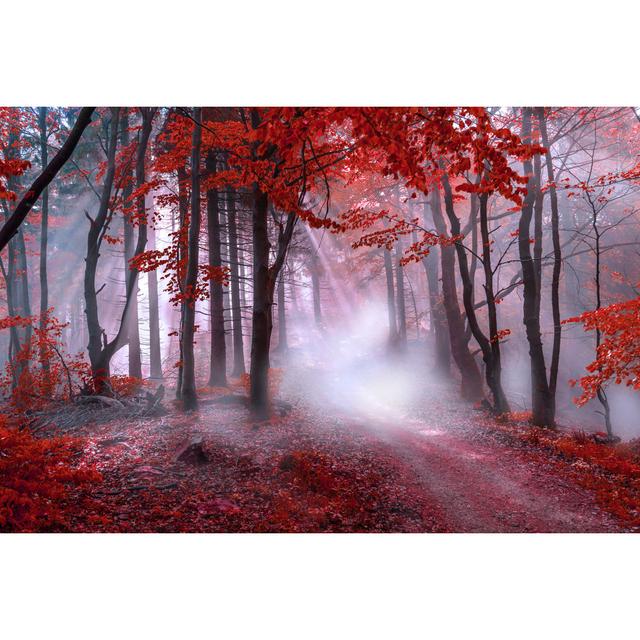 Aultman Mystical Red Forest by David Ziegler - Wrapped Canvas Print Alpen Home Size: 61cm H x 91cm W x 3.8cm D on Productcaster.