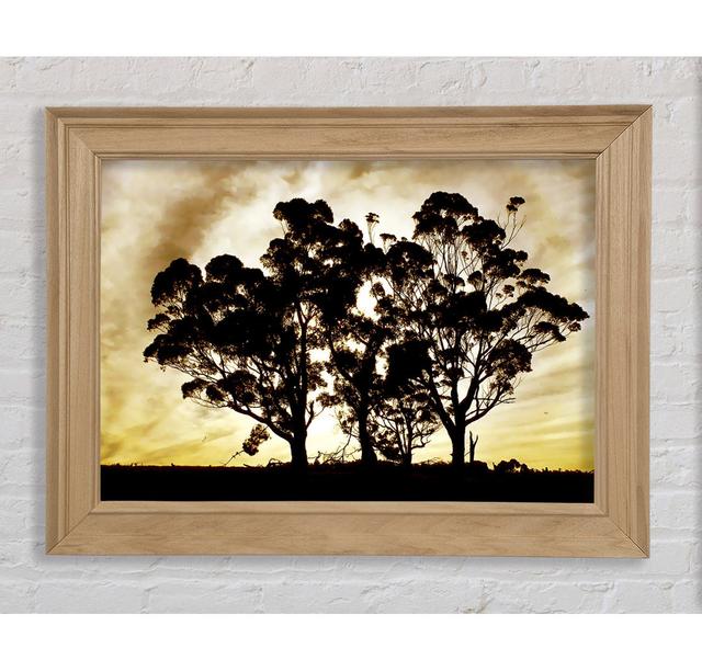 Chocolate Trees - Picture Frame Art Prints Bright Star Size: 29.7cm H x 42cm W on Productcaster.