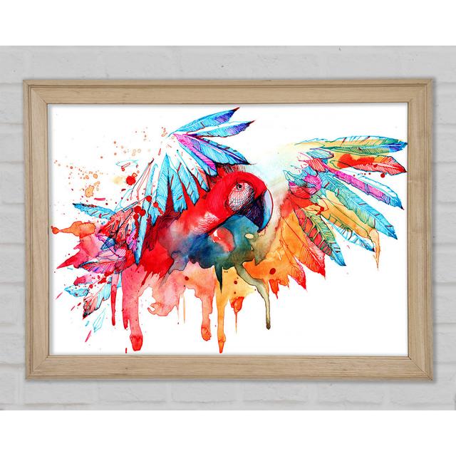 Colourful Parrot Framed Print 17 Stories Size: 42cm H x 59.7cm W x 1.5cm D, Format: Natural Framed Paper on Productcaster.