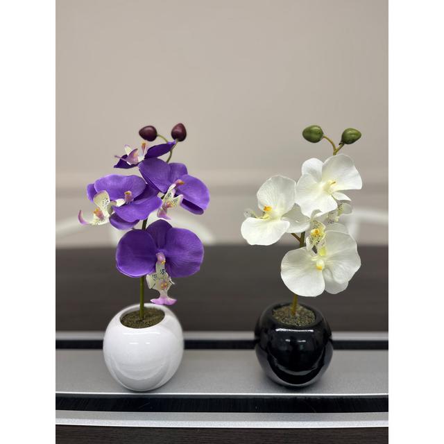 Mini Orchid Floral Arrangements in Vase (Set of 2) The Seasonal Aisle Size: 0.27cm H x 0.12cm W x 0.08cm D, Flower Colour: White/Purple on Productcaster.