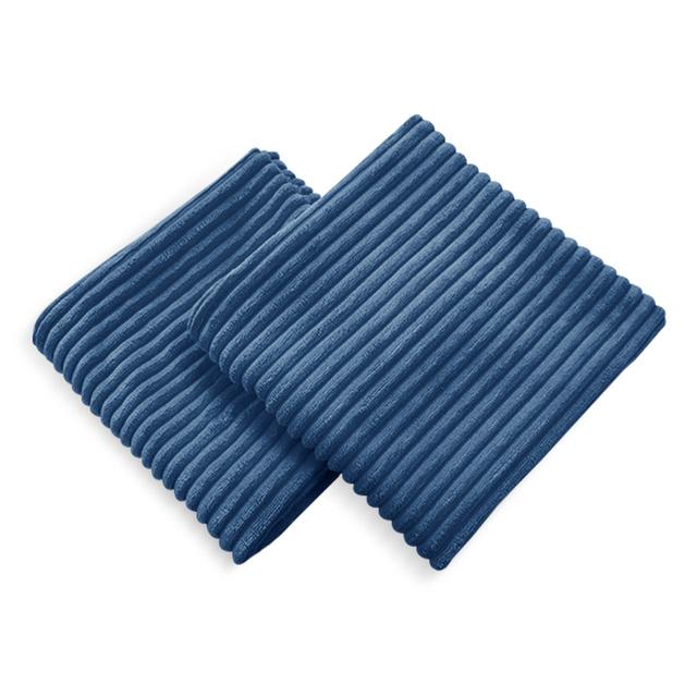 Avah Scatter Cushion Cover (Set of 2) Hashtag Home Size: 66cm H x 66cm W x 1cm D, Colour: Navy Blue on Productcaster.