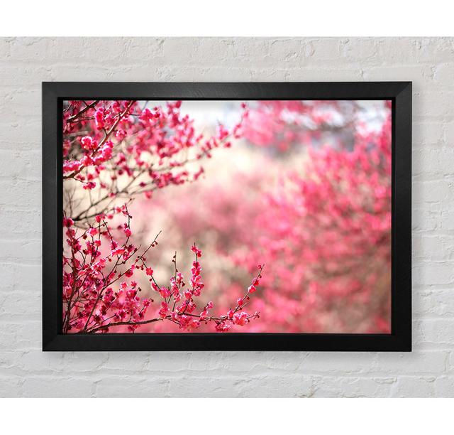 Spring Signs - Print Bright Star Size: 84.1cm H x 118.9cm W on Productcaster.