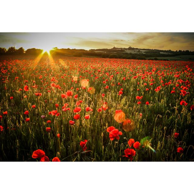 Poppy Field - Wrapped Canvas Art Prints ClassicLiving Size: 61cm H x 91cm W x 3.8cm D on Productcaster.