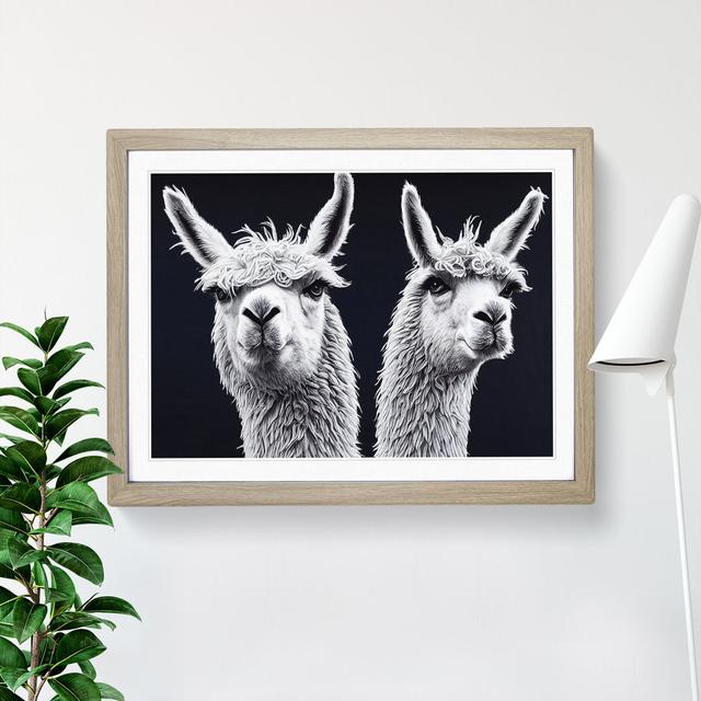 Two Llamas Vol.3 - Picture Frame Graphic Art 17 Stories Size: 46cm H x 64cm W x 2cm D, Frame Colour: Oak on Productcaster.