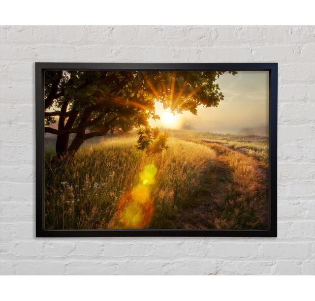 Sun Burst Tree - Print Marlow Home Co. Size: 100cm H x 141.4cm W x 3.3cm D on Productcaster.