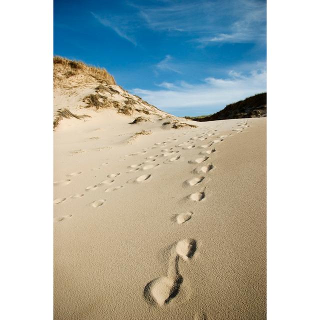 Footprints in the Sand by MarTsss - Wrapped Canvas Photograph House of Hampton Size: 76cm H x 51cm W x 3.8cm D on Productcaster.