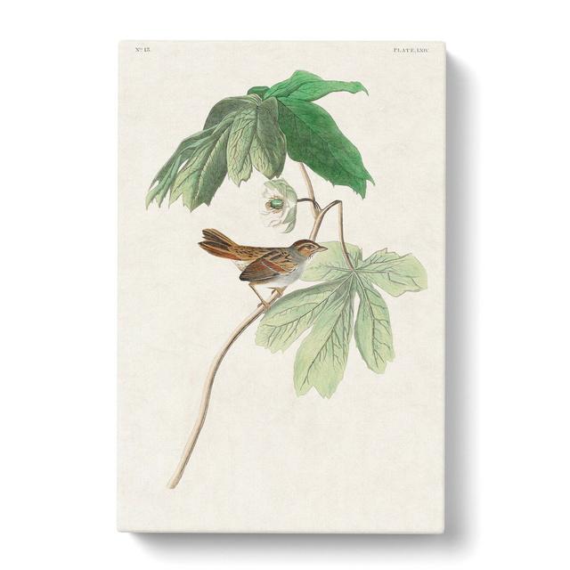 Swamp Sparrow by John James Audubon - Wrapped Canvas Art Print East Urban Home Size: 60cm H x 40cm W x 3cm D on Productcaster.