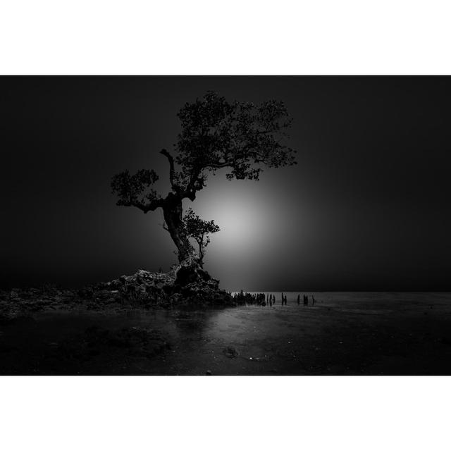 Alone Old Tree by Muhammad Idrus Arsyad - Wrapped Canvas Photograph 17 Stories Size: 51cm H x 76cm W on Productcaster.