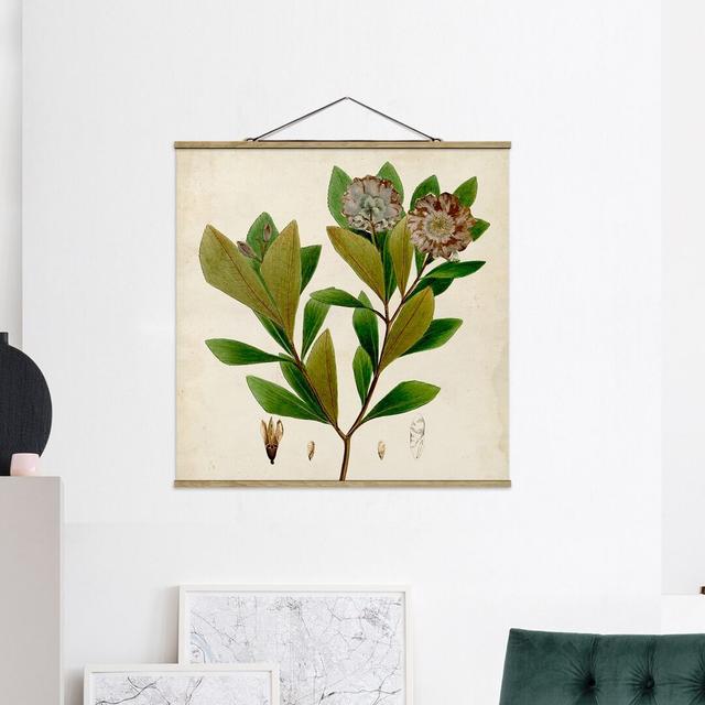 Deciduous Tree Display Panel V - Unframed Graphic Art August Grove Size: 80cm H x 80cm W x 0.3cm D on Productcaster.