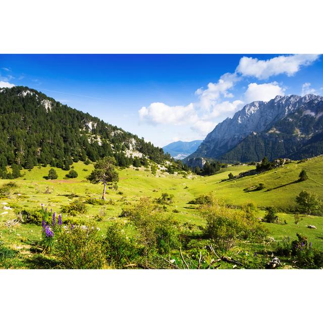 Mountains Landscape - Wrapped Canvas Photograph Alpen Home Size: 20cm H x 30cm W on Productcaster.