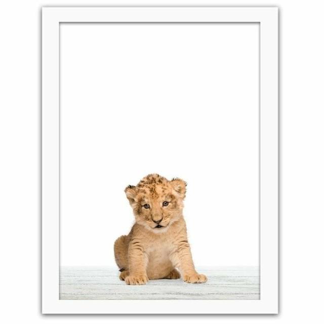 Gerahmter Fotodruck Little Lion 3 World Menagerie Größe: 50 cm H x 40 cm B x 3 cm T on Productcaster.