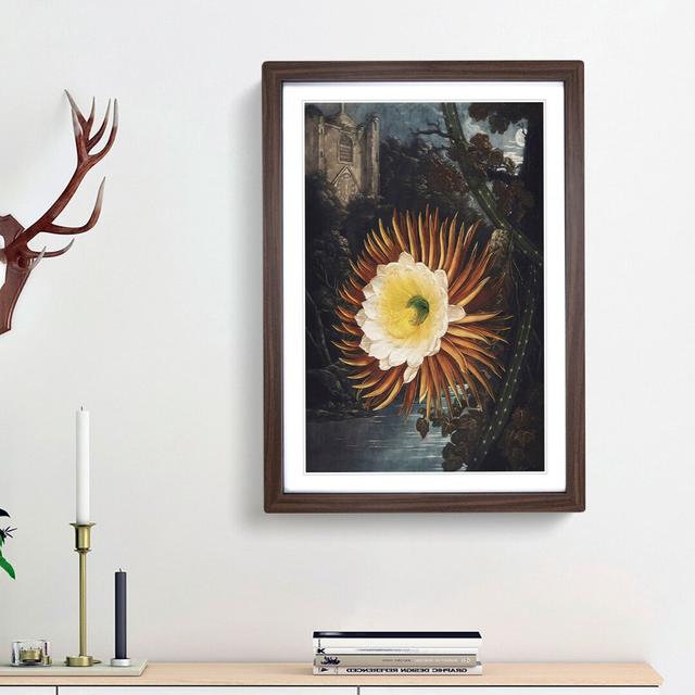 Blooming Cacti by R.J. Thornton - Picture Frame Painting Print East Urban Home Frame Option: Walnut Framed, Size: 36cm H x 27cm W x 2cm D on Productcaster.