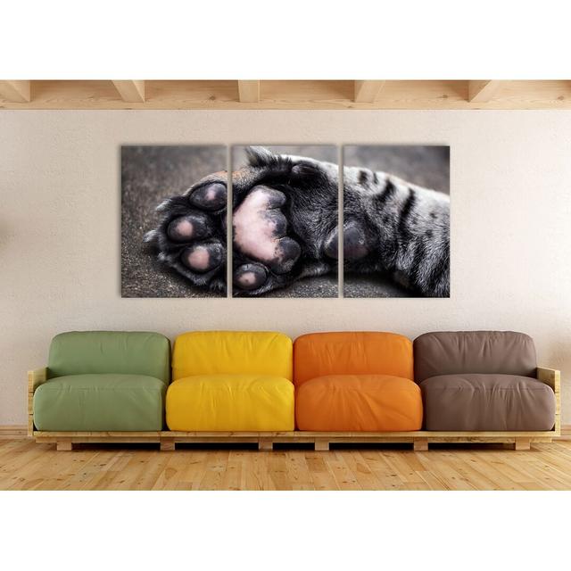 Beautiful Cat Paw - 3 Piece Wrapped Canvas Photograph Print Set East Urban Home Size: 210 cm H x 100 cm W 2.4 cm D on Productcaster.