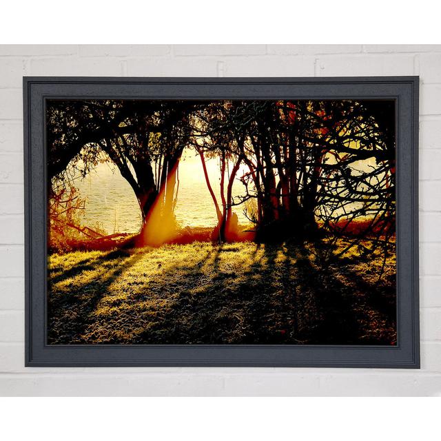 Golden Sunlight - Single Picture Frame Art Prints Ebern Designs Size: 84.1cm H x 118.9cm W on Productcaster.