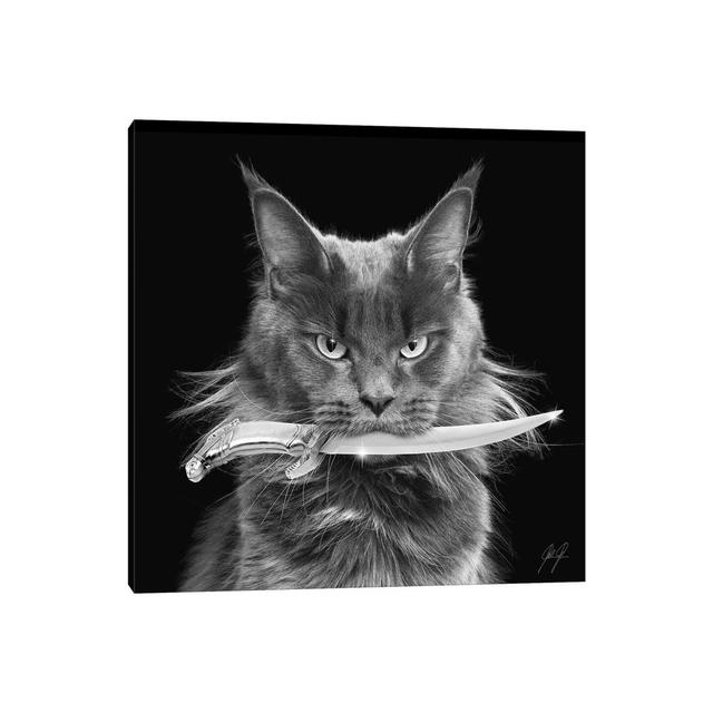 Killer Cat I by Kathrin Federer - Wrapped Canvas Photograph Latitude Run Size: 66.04cm H x 66.04cm W x 1.91cm D on Productcaster.