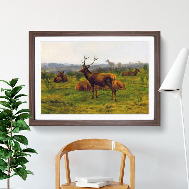 The Stag by Rosa Bonheur - Picture Frame Painting East Urban Home Size: 36cm H x 48cm W x 2cm D, Frame Option: Walnut Framed on Productcaster.