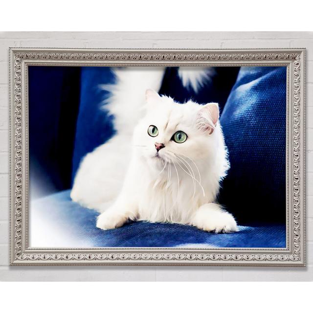 Fluffy White Kitten Framed Print Ebern Designs Size: 84.1cm H x 118.9cm W on Productcaster.