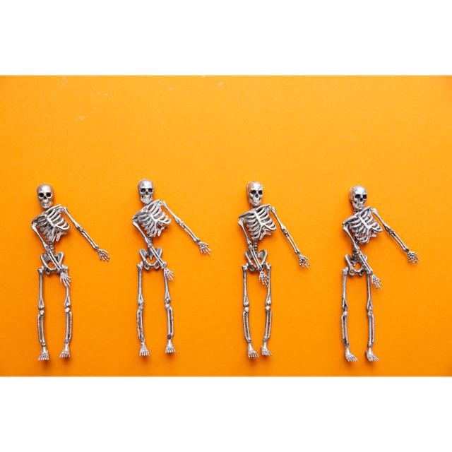 Haylia Skeletons by Evgeniya Pavlova - Wrapped Canvas Photograph Happy Larry Size: 30cm H x 46cm W x 3.8cm D on Productcaster.