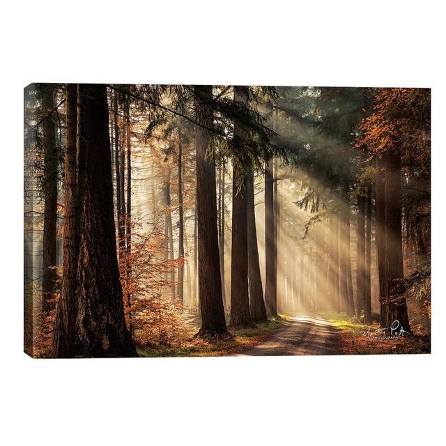 'Fresh Autumn Light' Photograph on Wrapped Canvas Union Rustic Size: 66.04cm H x 101.6cm W x 1.91cm D on Productcaster.