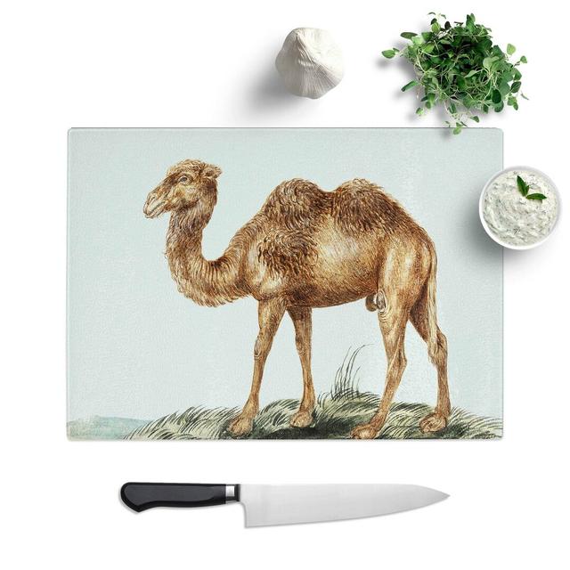 Tempered Glass Camel Chopping Board East Urban Home Size: 28.5 cm W x 20 cm L on Productcaster.