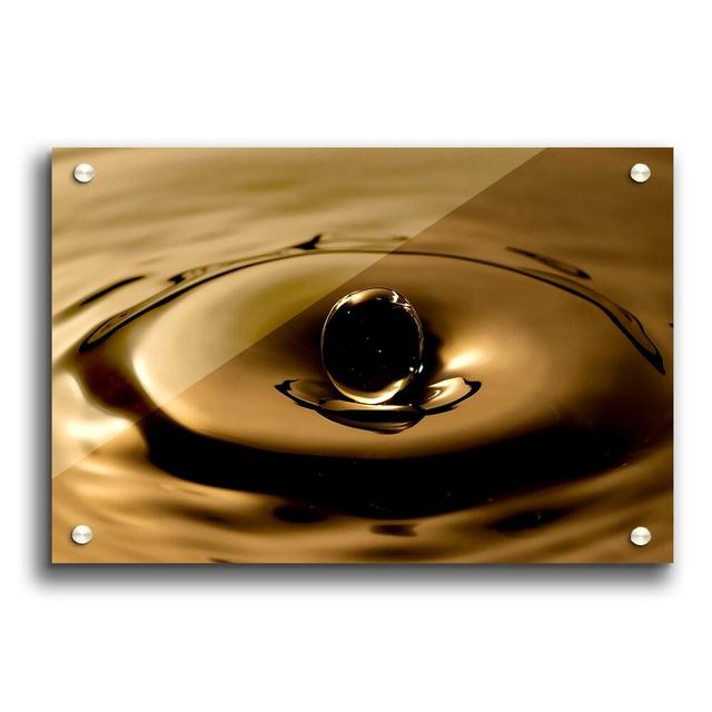 Sepia Water Drop - Unframed Graphic Art Print on Acrylic East Urban Home Size: 59.4cm H x 84.1cm W on Productcaster.