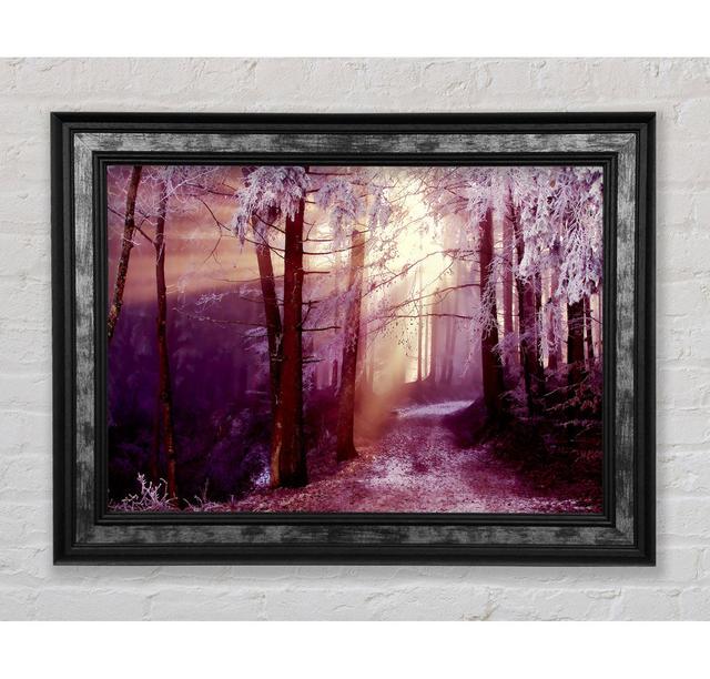 Winter Woodland Sunbeam - Single Picture Frame Art Prints Union Rustic Size: 84.1cm H x 118.9cm W x 8cm D, Format: Silver/Black Framed Paper on Productcaster.