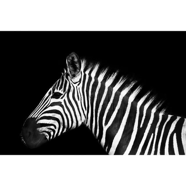 Schwarzes und weißes Zebra von Tunart - Druck 17 Stories Größe: 60 cm H x 90 cm B on Productcaster.