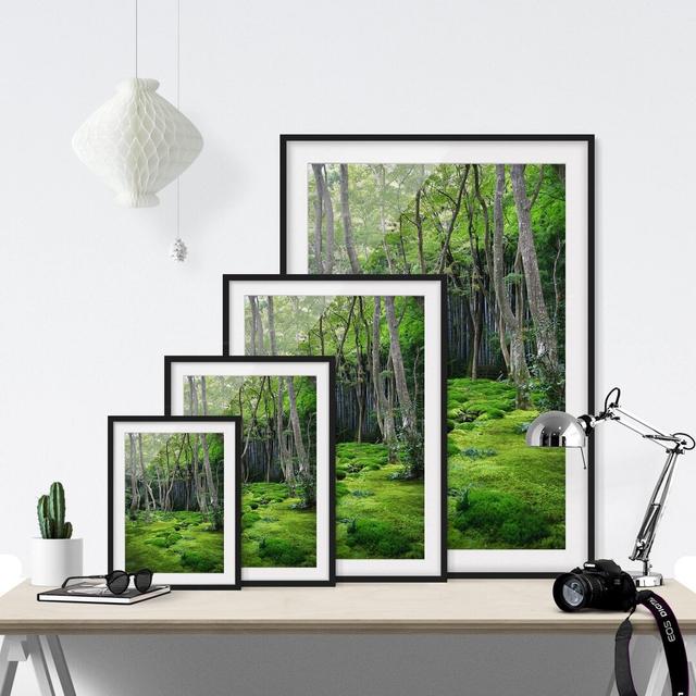 Growing Trees - Picture Frame Photograph Print on Paper East Urban Home Frame Options: Matt black, Size: 55 cm H x 40 cm W on Productcaster.