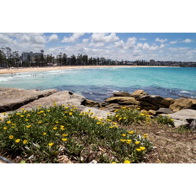 Cornejo Beautiful Beach with a Flower Bed in Manly - Wrapped Canvas Photograph House of Hampton Size: 61cm H x 91cm W x 3.8cm D on Productcaster.