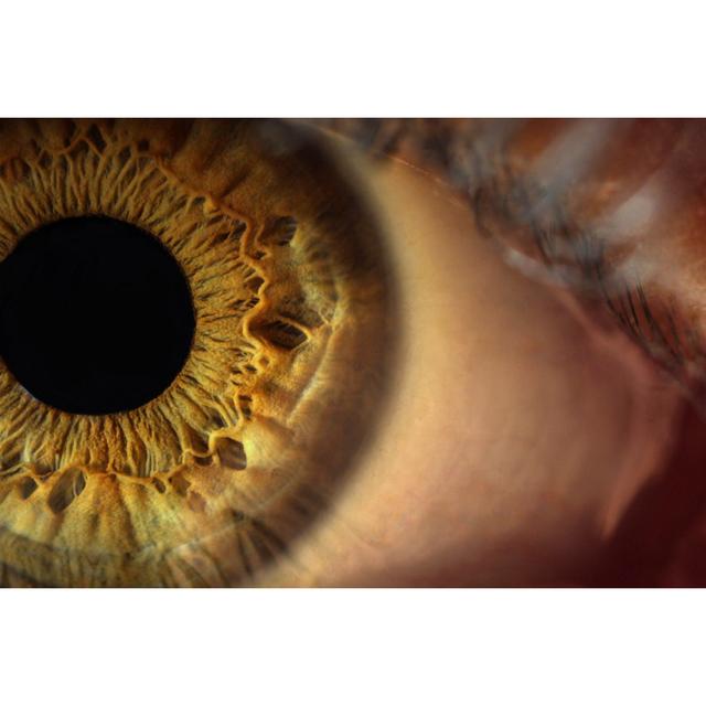 Close-up of Human Eye by Herseyden Biraz - Wrapped Canvas Photograph 17 Stories Size: 30cm H x 46cm W on Productcaster.