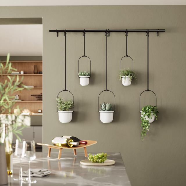 Umbra Triflora Hanging Planter Set Umbra Colour: White/Black on Productcaster.