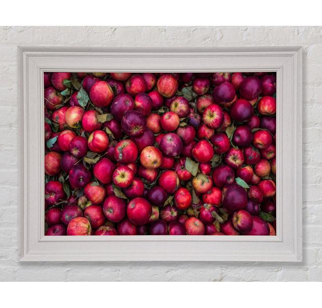 Collection Of Apples - Print August Grove Size: 42cm H x 59.7cm W x 8cm D on Productcaster.