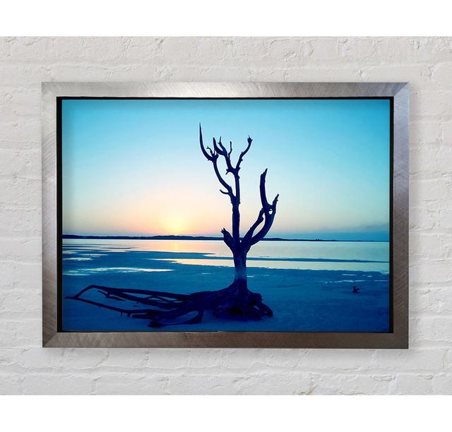 Blue Ocean Driftwood Framed Print Wall Art House of Hampton Format: Silver Framed Paper, Size: 42cm H x 59.7cm W x 3.4cm D on Productcaster.